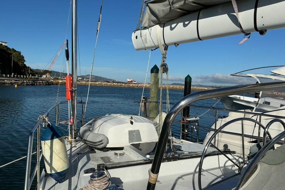 Warwick 20 Stern