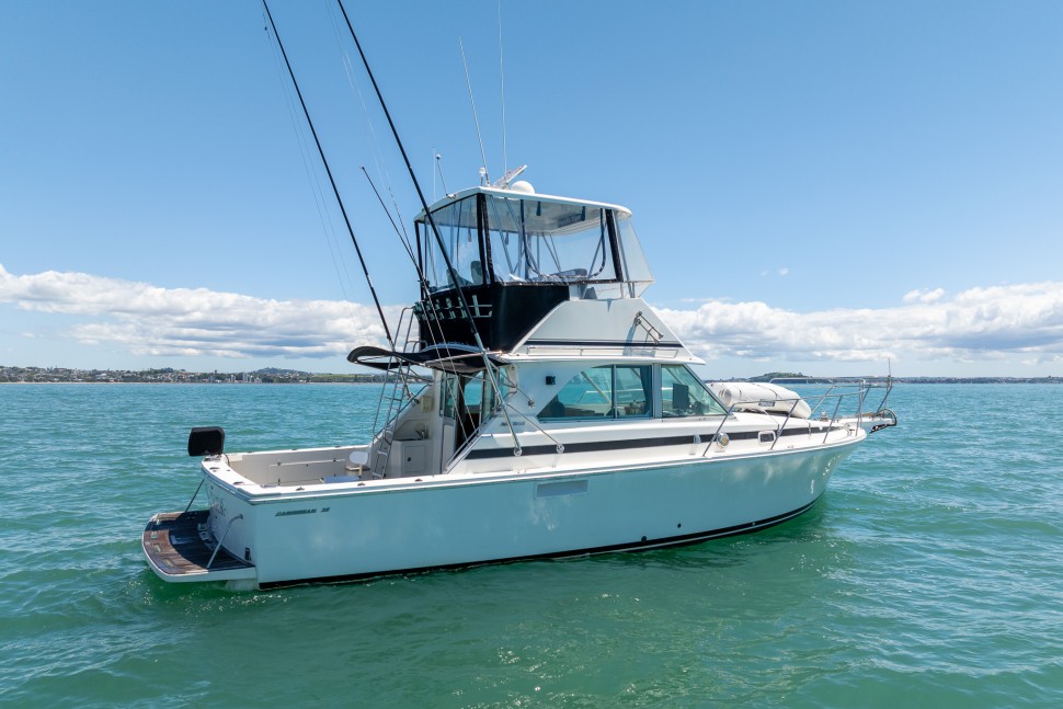 Bertram Caribbean 35 Pacific Tiger 003