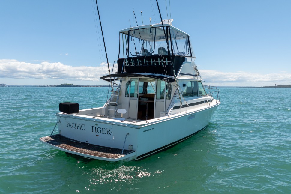 Bertram Caribbean 35 Pacific Tiger 004