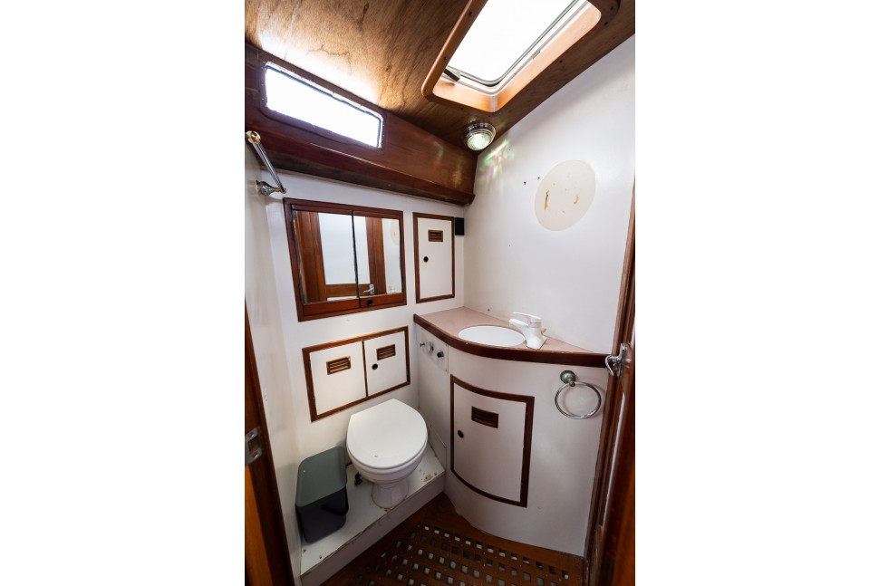 Choy Lee Salty 47 13