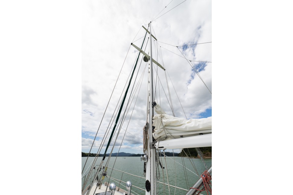 Choy Lee Salty 47 17