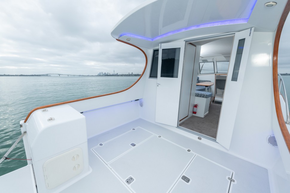 Edlin 1020 Wairoa 11 Cockpit