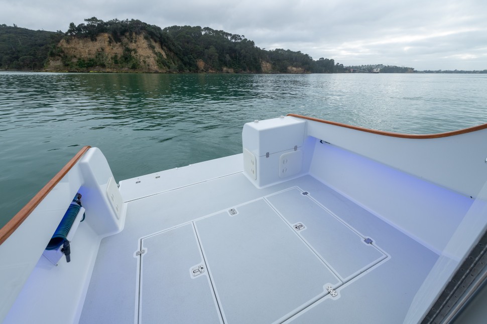 Edlin 1020 Wairoa 12 Cockpit