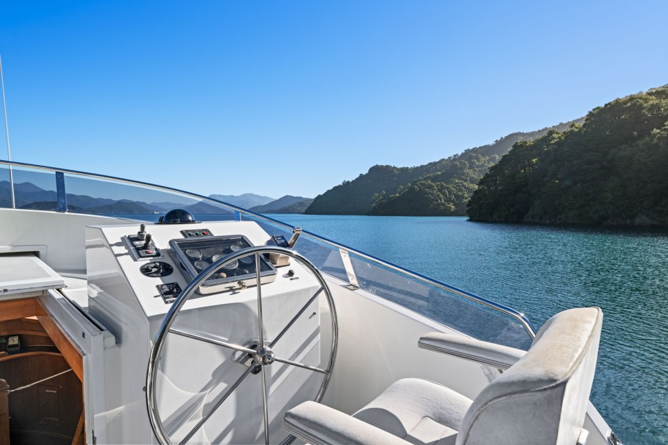 Integrity 19 Flbridge helm