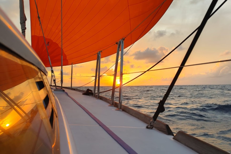 Jeanneau 469 9 gennaker