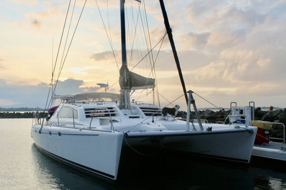 Leopard 45 Paws Time 2