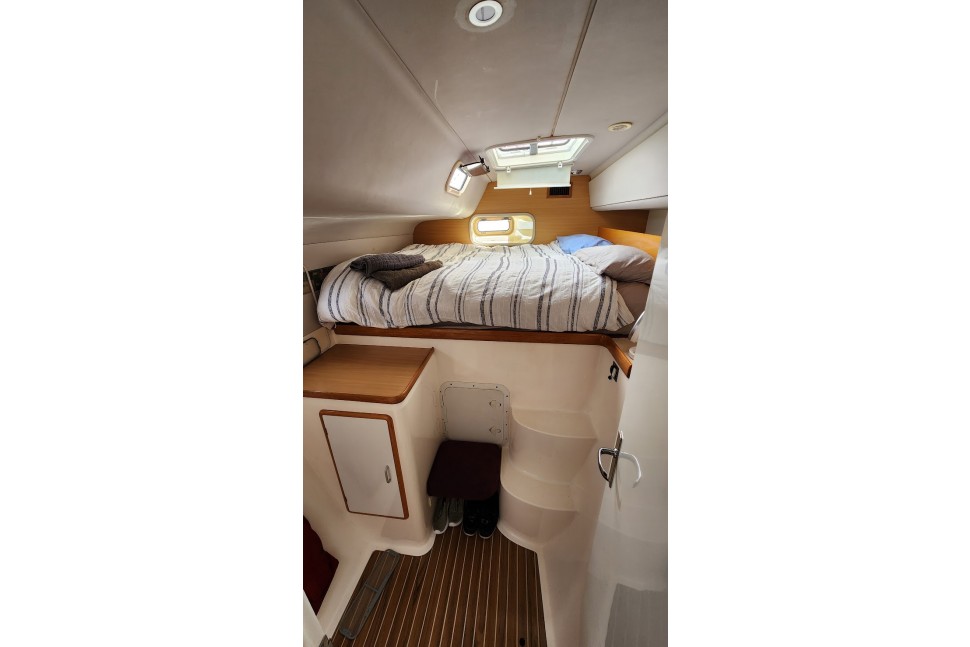 Leopard 45 Paws Time 20