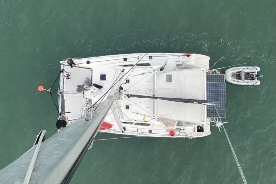 Leopard 45 Paws Time 6