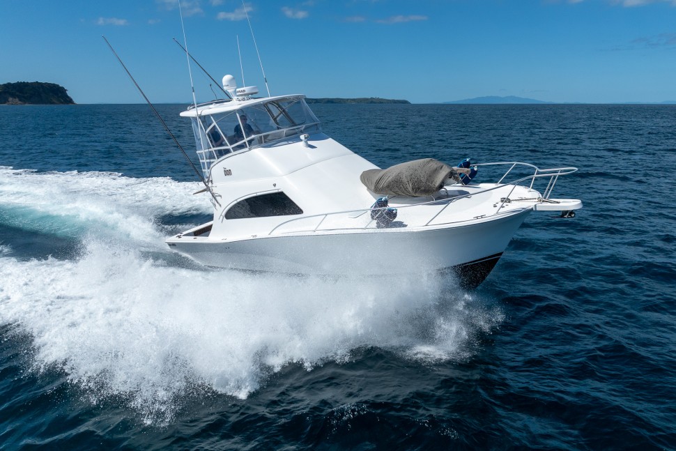 Luhrs 36 The Don 007