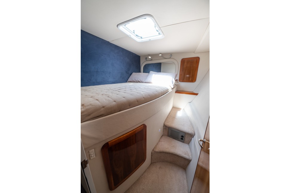 Pacific Dancer Roger Hill 14m 014 guest cabin