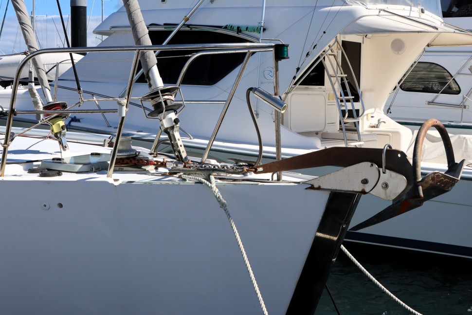 Sandy Jones Innovation bow