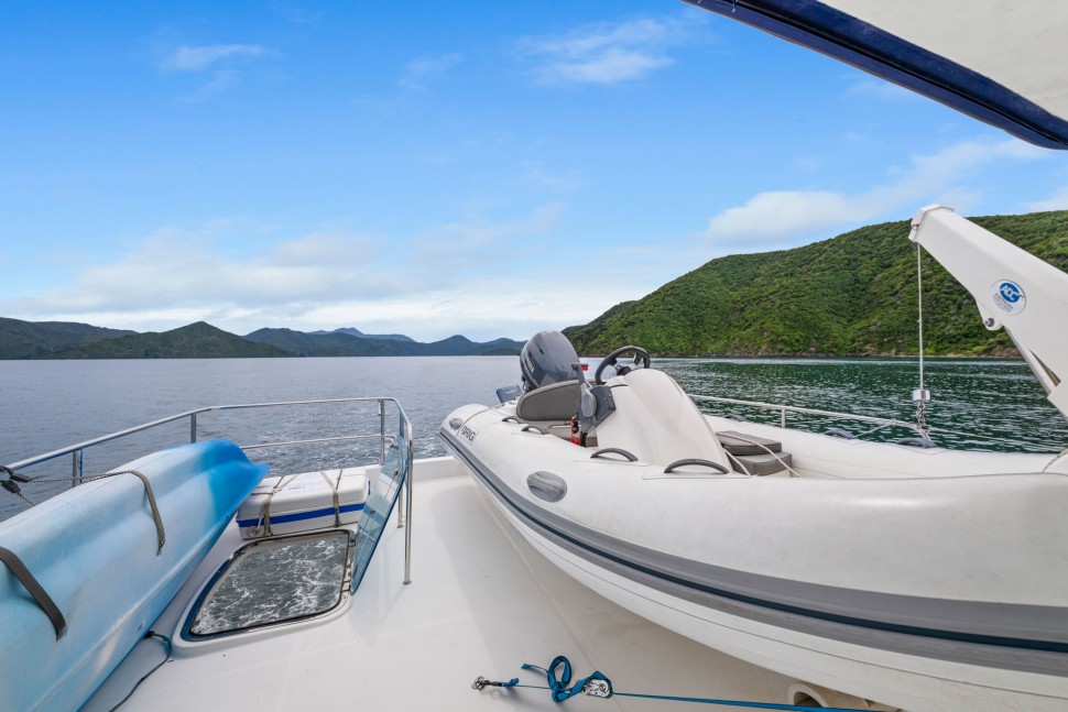 Swift Trawler 17 flybridge aft.jpg