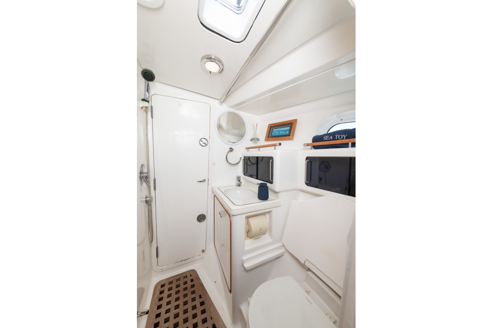 Warwick 65 Sea Toy 20