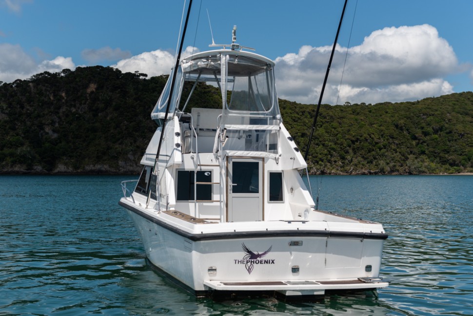 phoenix 29sfx the phoenix 10 at anchor transom