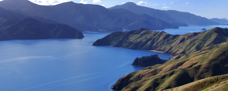 Discover the Allure of Marlborough Sounds