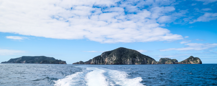 Discover the Magic of Poor Knights Islands: A Boater’s Paradise