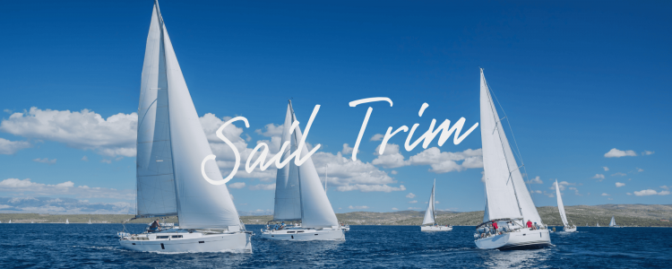 Sail Trim with Robbs Hielkema | 36° Brokers